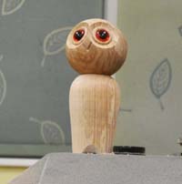 Turned owl