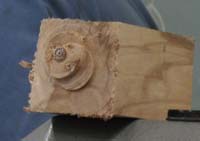 Evolution dust mask