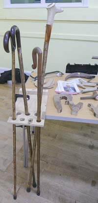 Walking sticks