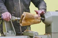 Holding a crotch branch