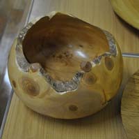 Monterey cypress bowl