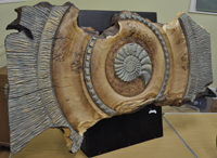 Wall carving