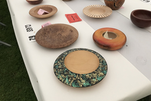 Woodturning exhibits Thornton Show