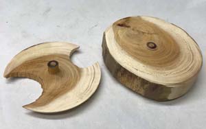 Angel wing circle