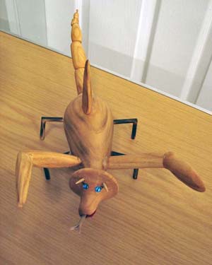 Curious scorpion