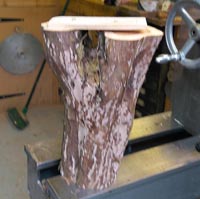 Winged vase