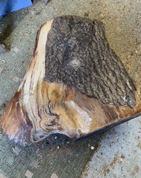 Stained wooden bowl