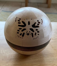 Wooden segmented light