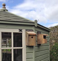 Bird boxes